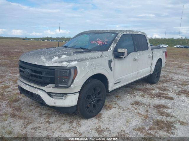 1FTFW1EDXPFA08091 Ford F-150 Platinum