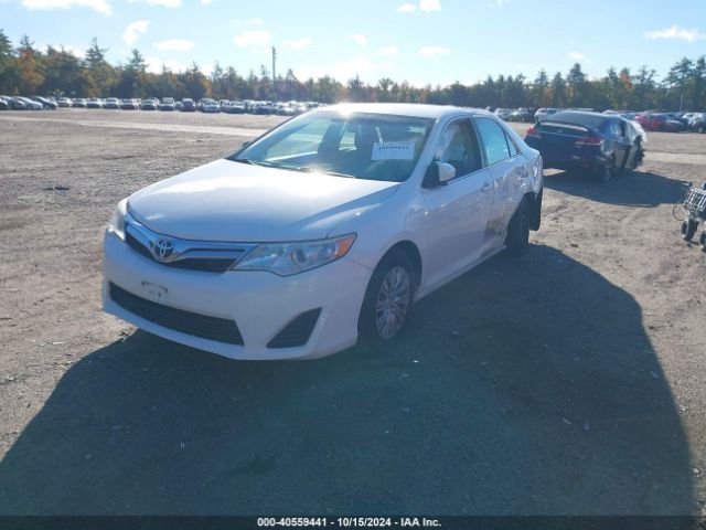 4T4BF1FK9ER391463 Toyota CAMRY LE