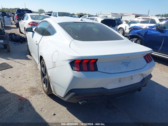 Ford Mustang Ecoboost 2024 1FA6P8TH8R5102884 Image 3