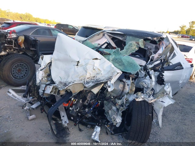 2024 TESLA MODEL Y 7SAYGDEE3RA317909 Photo 5