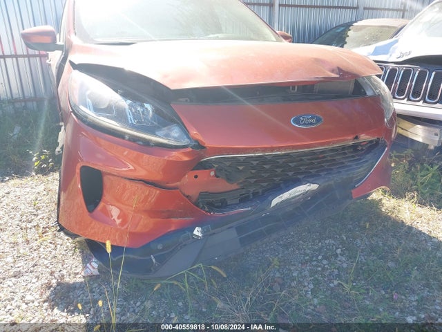 Ford ESCAPE SEL 2020 1FMCU9H65LUA14936 Image 6