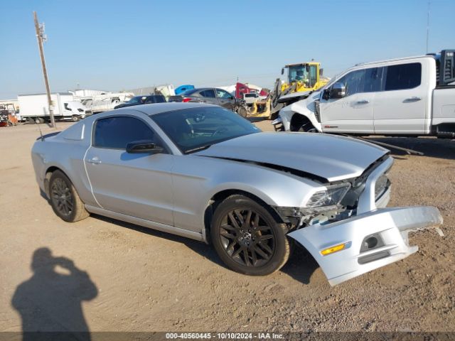 1ZVBP8AM3E5277821 Ford Mustang V6