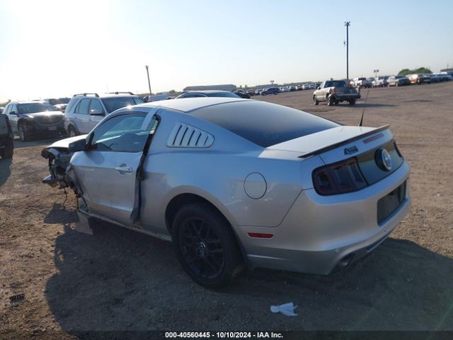 1ZVBP8AM3E5277821 Ford Mustang V6