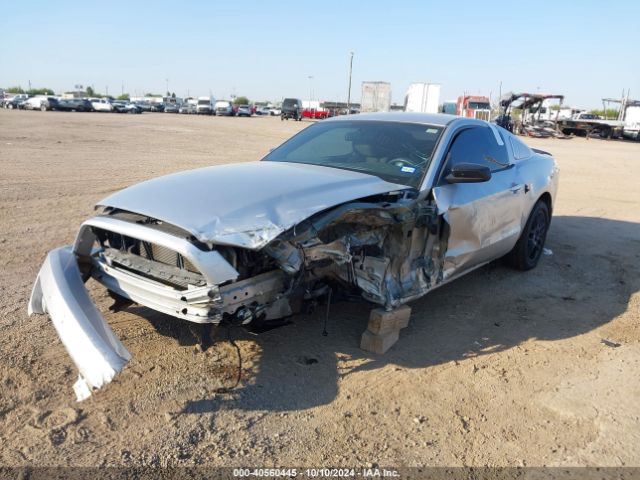 1ZVBP8AM3E5277821 Ford Mustang V6