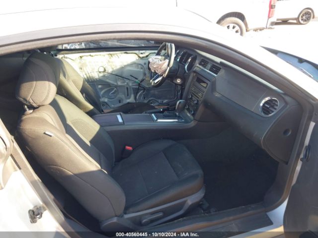 1ZVBP8AM3E5277821 Ford Mustang V6