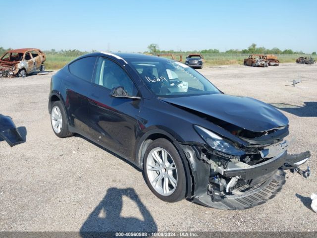 7SAYGDED1RF052031 Tesla Model Y Long Range/rwd