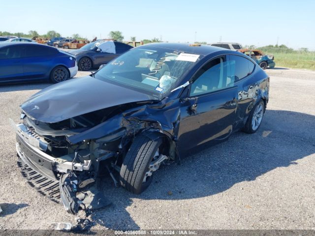 7SAYGDED1RF052031 Tesla Model Y Long Range/rwd
