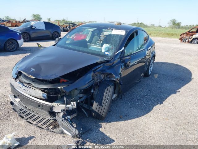 7SAYGDED1RF052031 Tesla Model Y Long Range/rwd