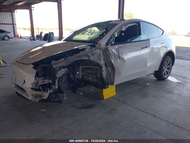 2023 TESLA MODEL Y 7SAYGDEE6PF742623 Photo 1