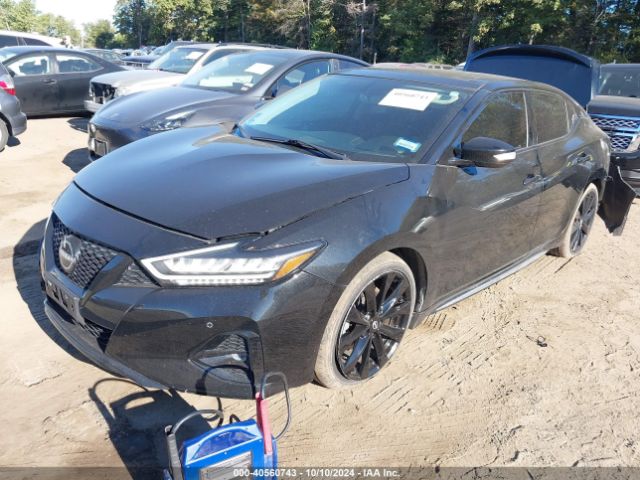 1N4AA6AP6GC383781 Nissan Maxima 3.5 Sl
