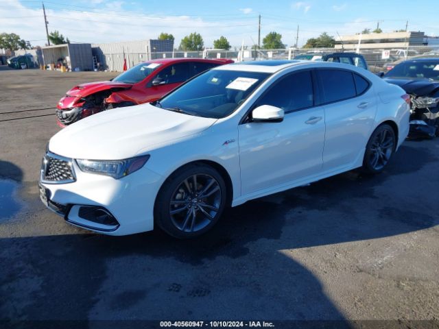 19UUB1F68KA002204 Acura Tlx Tech   A-spec Pkgs/w/a-spec Pkg Red Leather