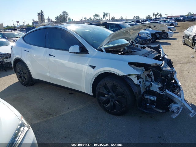 2024 TESLA MODEL Y 7SAYGDED5RF154884 Photo 0