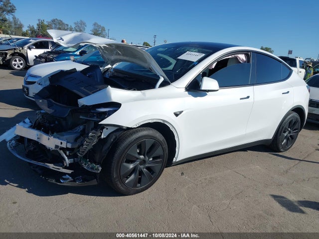 2024 TESLA MODEL Y 7SAYGDED5RF154884 Photo 1