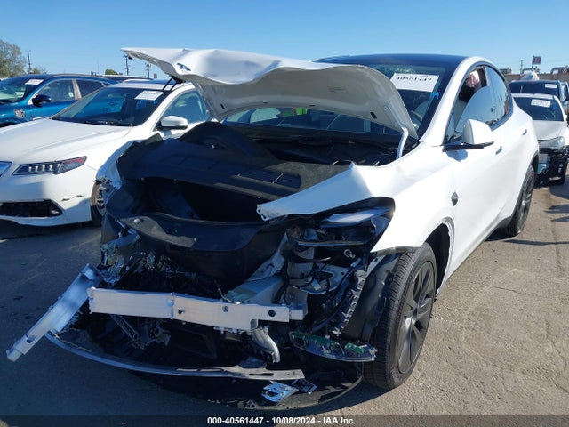 2024 TESLA MODEL Y 7SAYGDED5RF154884 Photo 5