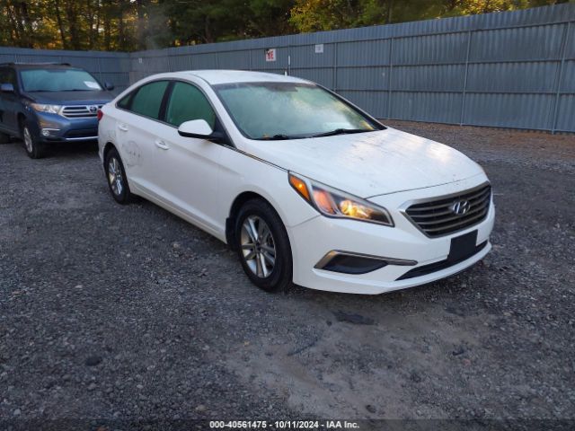 5NPE24AF1HH465430 Hyundai SONATA SE