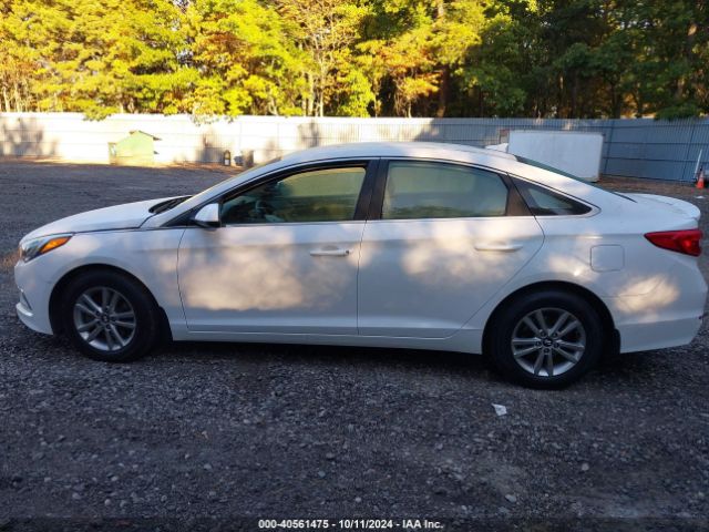 5NPE24AF1HH465430 Hyundai SONATA SE