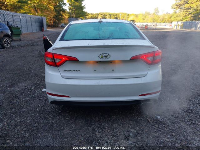 5NPE24AF1HH465430 Hyundai SONATA SE