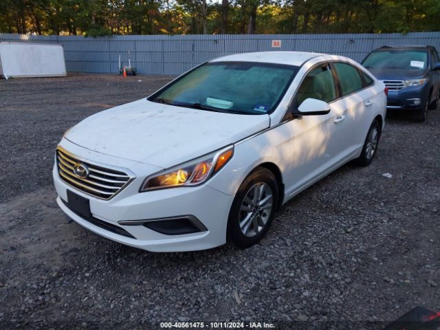 5NPE24AF1HH465430 Hyundai SONATA SE