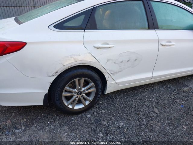 5NPE24AF1HH465430 Hyundai SONATA SE