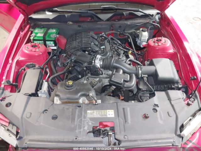 1ZVBP8AM7E5222286 Ford Mustang V6