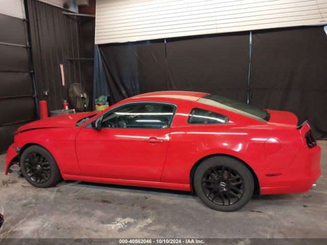 1ZVBP8AM7E5222286 Ford Mustang V6