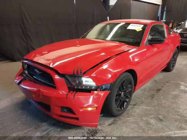 1ZVBP8AM7E5222286 Ford Mustang V6