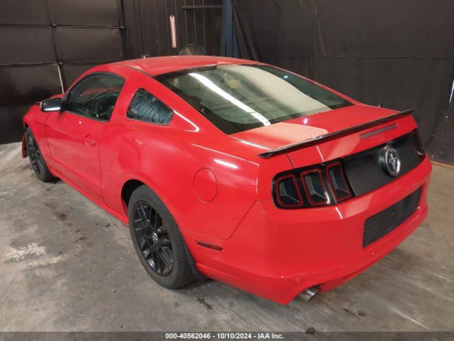 1ZVBP8AM7E5222286 Ford Mustang V6
