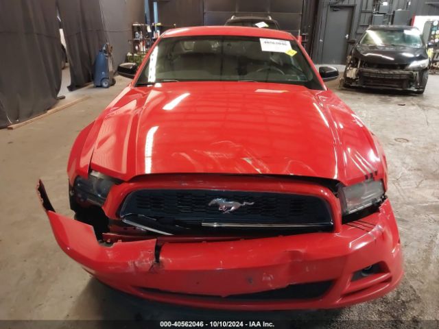 1ZVBP8AM7E5222286 Ford Mustang V6