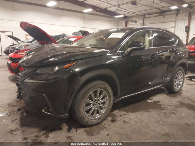 JTJDJRDZ9M5012875 Lexus NX 300H