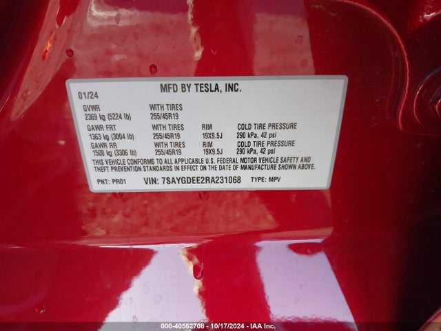 2024 TESLA MODEL Y 7SAYGDEE2RA231068 Photo 8