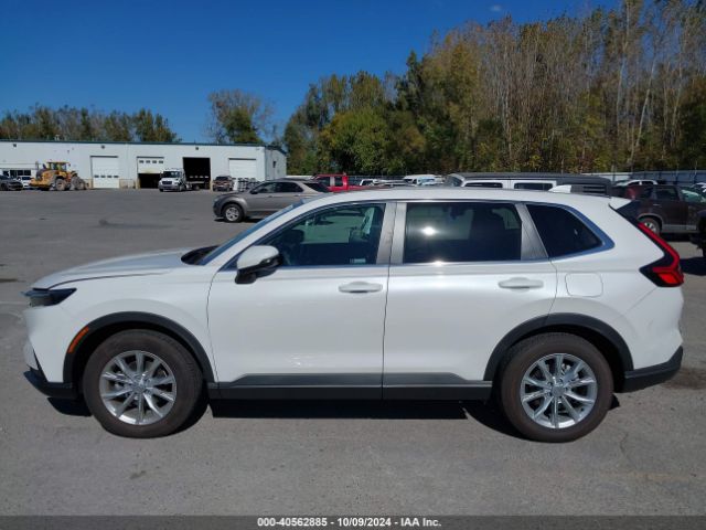 5J6RS4H46RL012742 Honda Cr-v Ex Awd