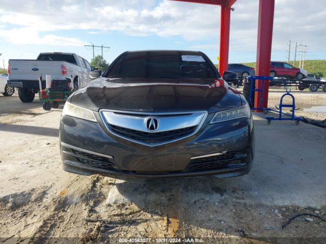 19UUB1F58GA013010 Acura TLX TECH