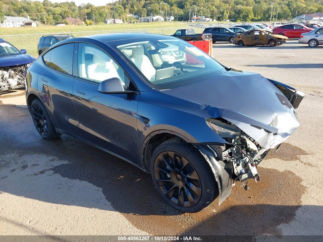 2023 TESLA MODEL Y 7SAYGDEE8PA176557 Photo 0