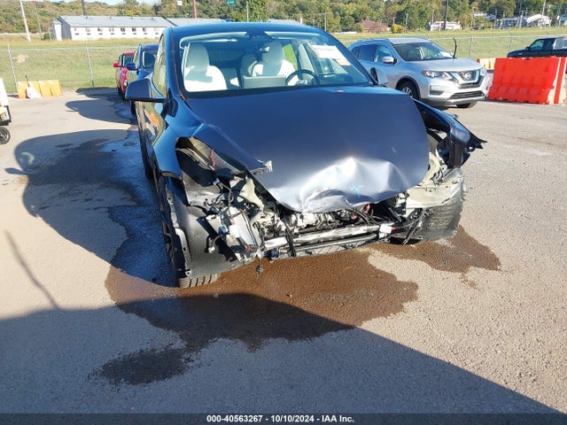 2023 TESLA MODEL Y 7SAYGDEE8PA176557 Photo 5