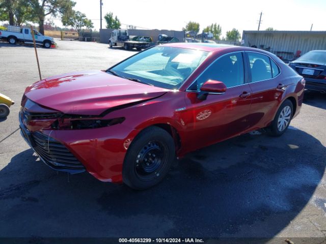 4T1E31AK7LU545138 Toyota Camry Le Hybrid