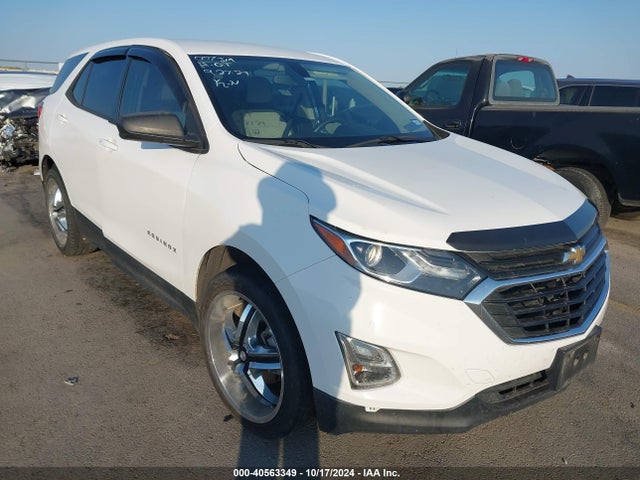 Chevrolet EQUINOX LS 2019 3GNAXHEV3KS570967 Image 1