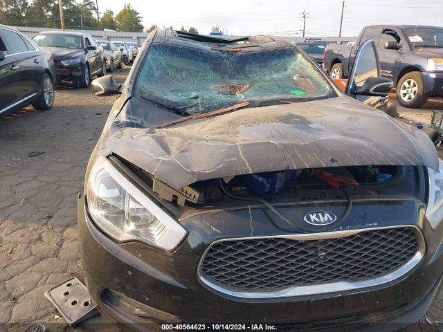 KIA K900 Luxury 2015 KNALW4D42F6023489 Image 6