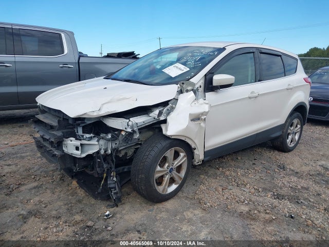 Ford ESCAPE SE 2014 1FMCU0GX0EUB41974 Image 2