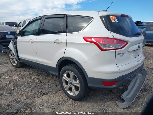 Ford ESCAPE SE 2014 1FMCU0GX0EUB41974 Image 3