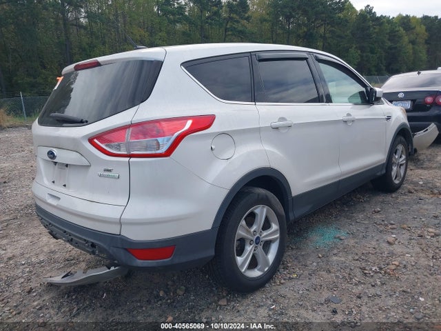 Ford ESCAPE SE 2014 1FMCU0GX0EUB41974 Image 4