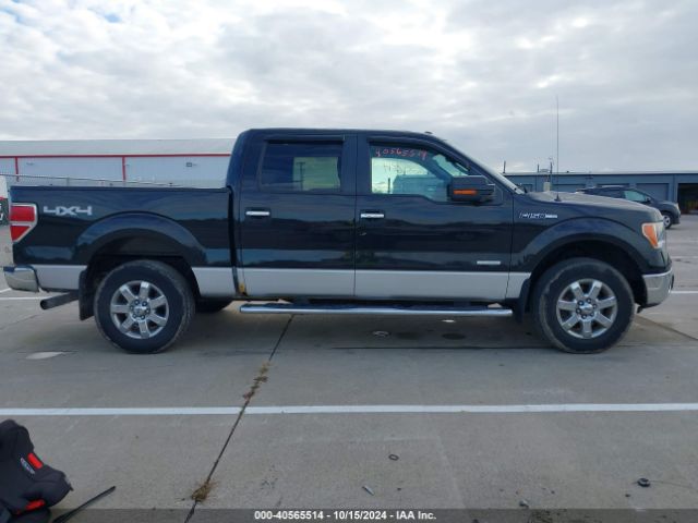 1FTFW1ET6EFA83374 Ford F-150 Xlt