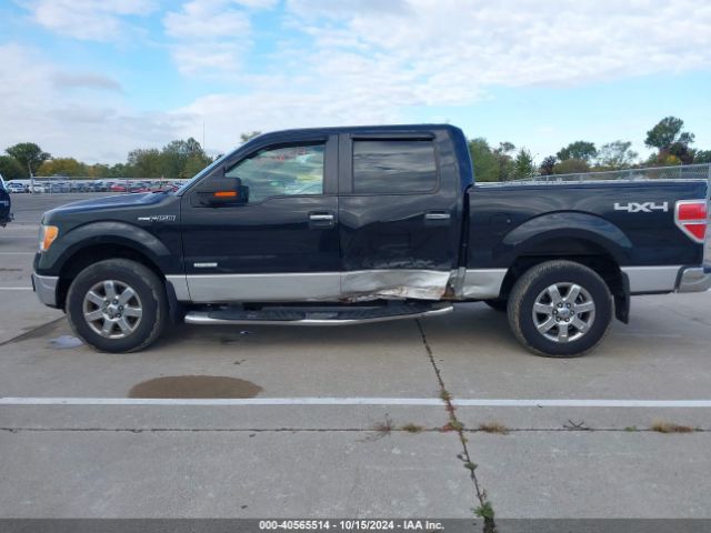 1FTFW1ET6EFA83374 Ford F-150 Xlt