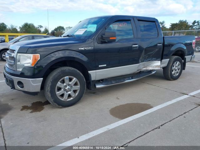 1FTFW1ET6EFA83374 Ford F-150 Xlt