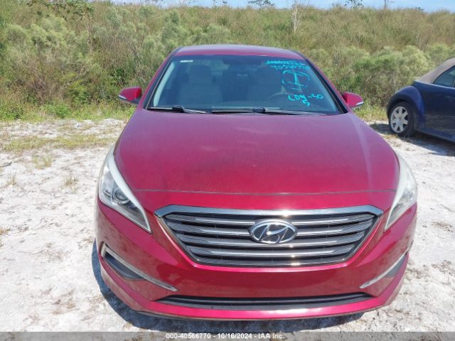 5NPE24AA5GH430036 Hyundai SONATA ECO