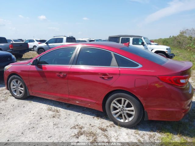 5NPE24AA5GH430036 Hyundai SONATA ECO