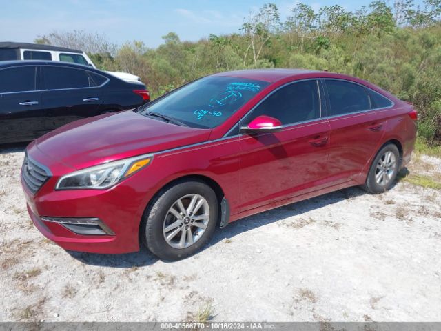 5NPE24AA5GH430036 Hyundai SONATA ECO