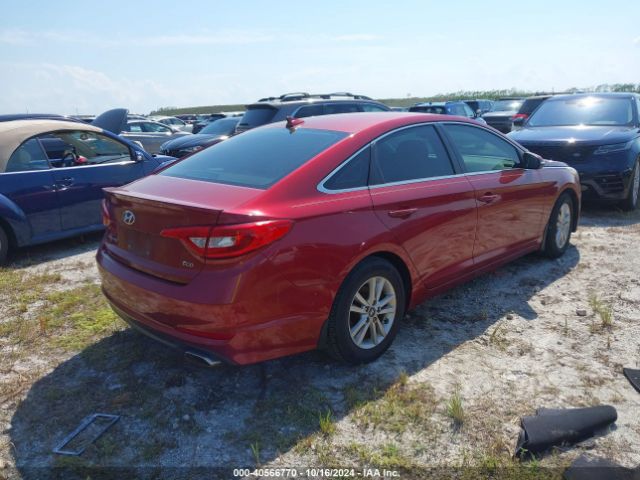 5NPE24AA5GH430036 Hyundai SONATA ECO