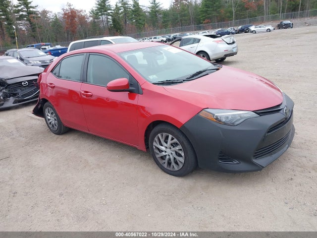 2019 2T1BURHE1KC203795 main image