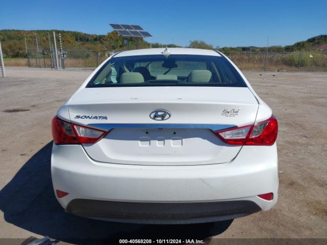5NPEB4AC3EH841157 Hyundai SONATA GLS