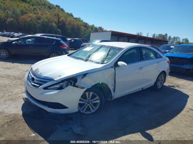 5NPEB4AC3EH841157 Hyundai SONATA GLS